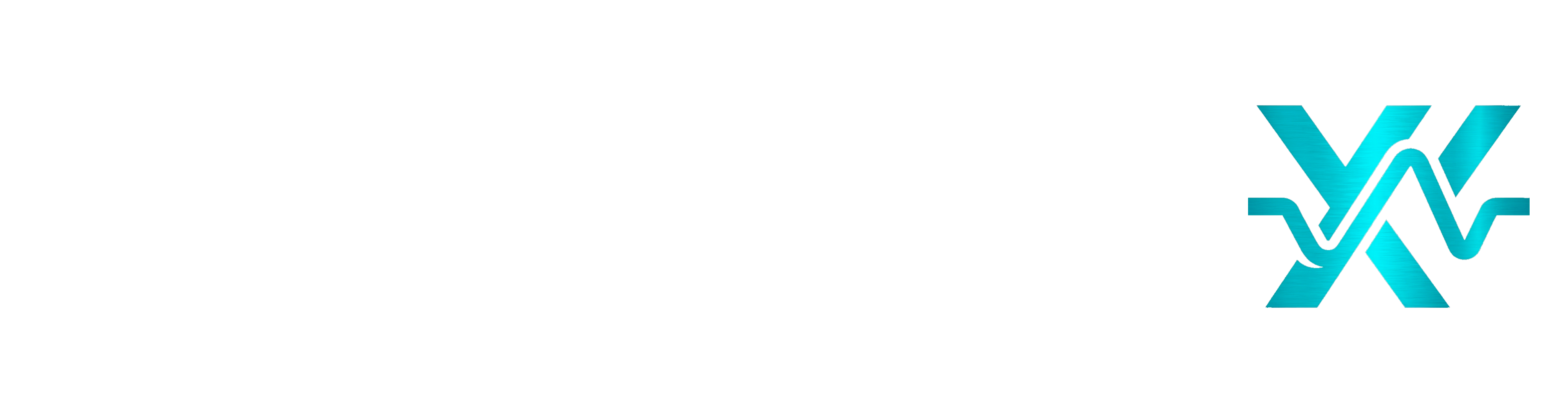 DataPulseX Logo
